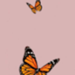 Meet your Posher, Briana